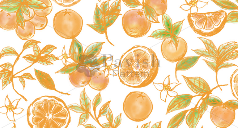 非常に大きな幸運を表すマンダリンオレンジのパターン